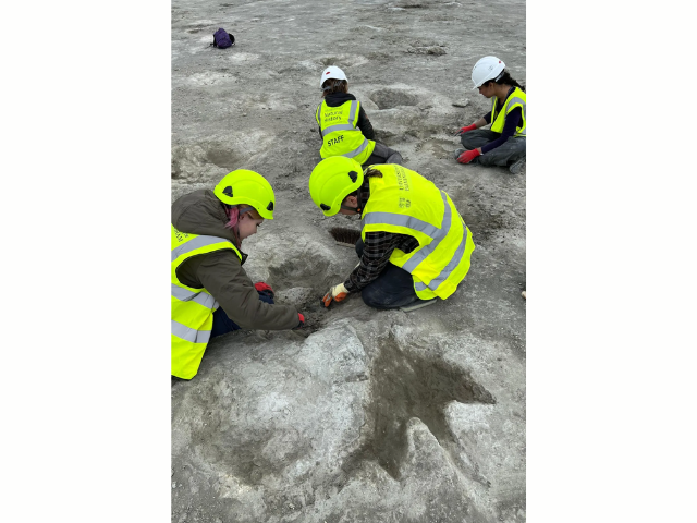 Scientists think these distinctive three-toed prints were made by a Megalosaurus. Emma Nicholls/Oxford University Museum of Natural History