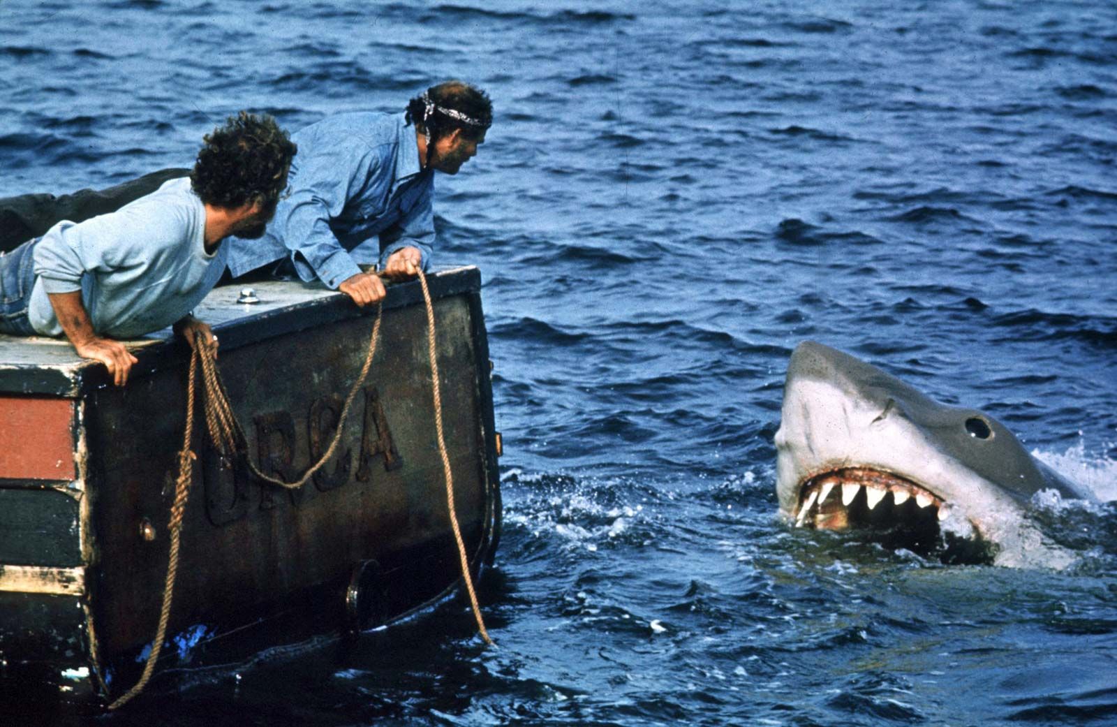 Jaws | Shark, Steven Spielberg, Blockbuster, & Facts | Britannica