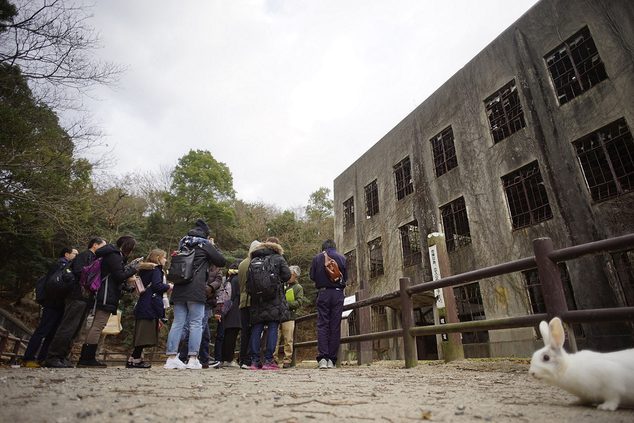 Ohkunoshima Island (大久野島)｜Tourist Attractions | Takehara Hiroshima -  Tourism Guide -