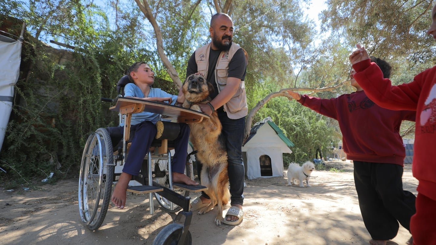 Rashid Anbar runs animal-assisted psychological support sessions. PHOTO: AFP